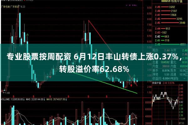 专业股票按周配资 6月12日丰山转债上涨0.37%，转股溢价率62.68%