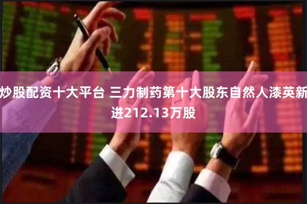 炒股配资十大平台 三力制药第十大股东自然人漆英新进212.13万股