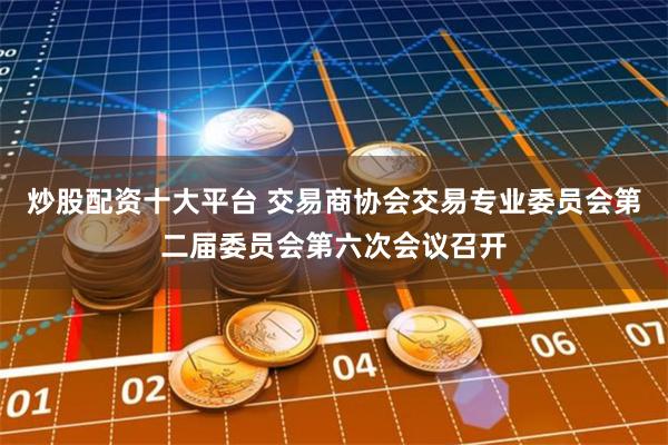 炒股配资十大平台 交易商协会交易专业委员会第二届委员会第六次会议召开